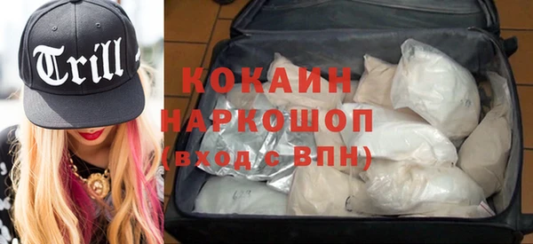индика Волосово