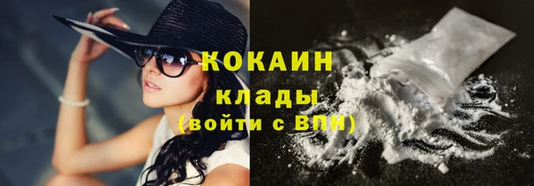 индика Волосово