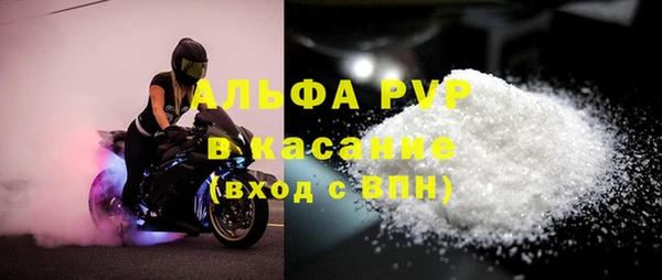 индика Волосово