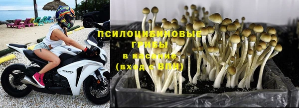 MESCALINE Верея